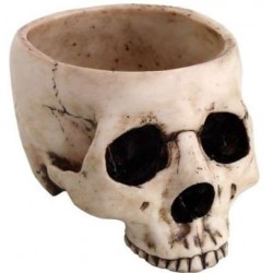 Skull Bowl in Resin